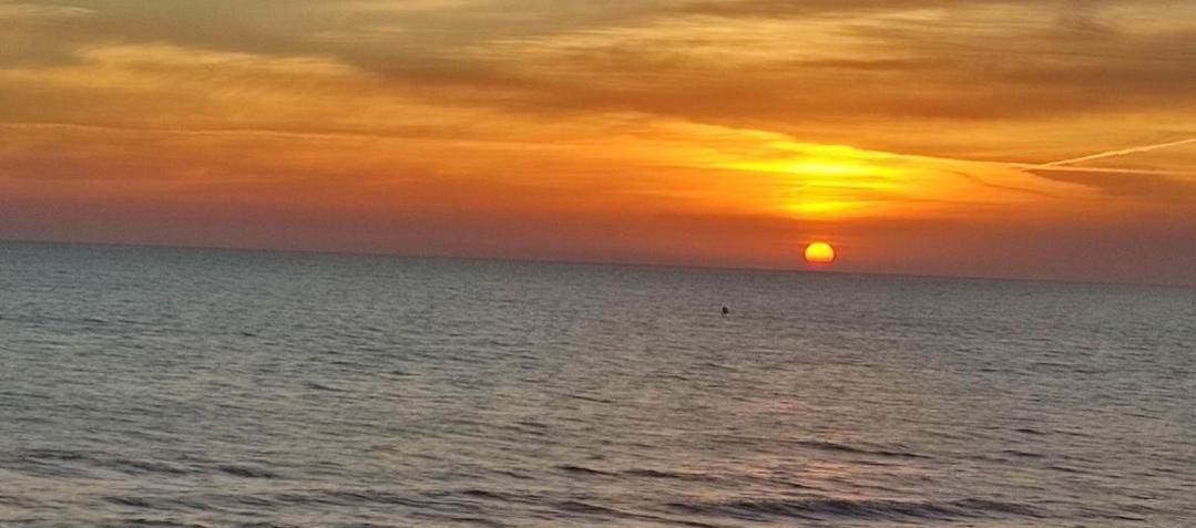 Apartamento Entero Primera Linea De Playa, Pet Friendly Tavernes de Valldigna Εξωτερικό φωτογραφία